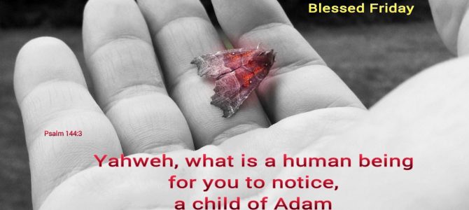 What is a human being for You to notice? (BL)
