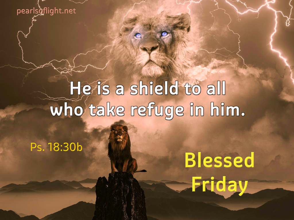 He is a shield to all who take refuge in him.