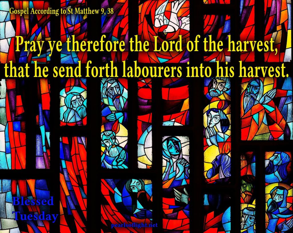 Therefore, pray to the Lord of the harvest to send out workers into his harvest.