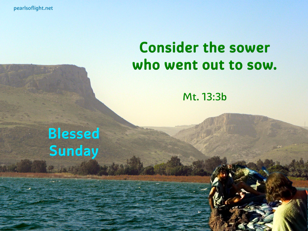 Consider the sower who went out to sow.