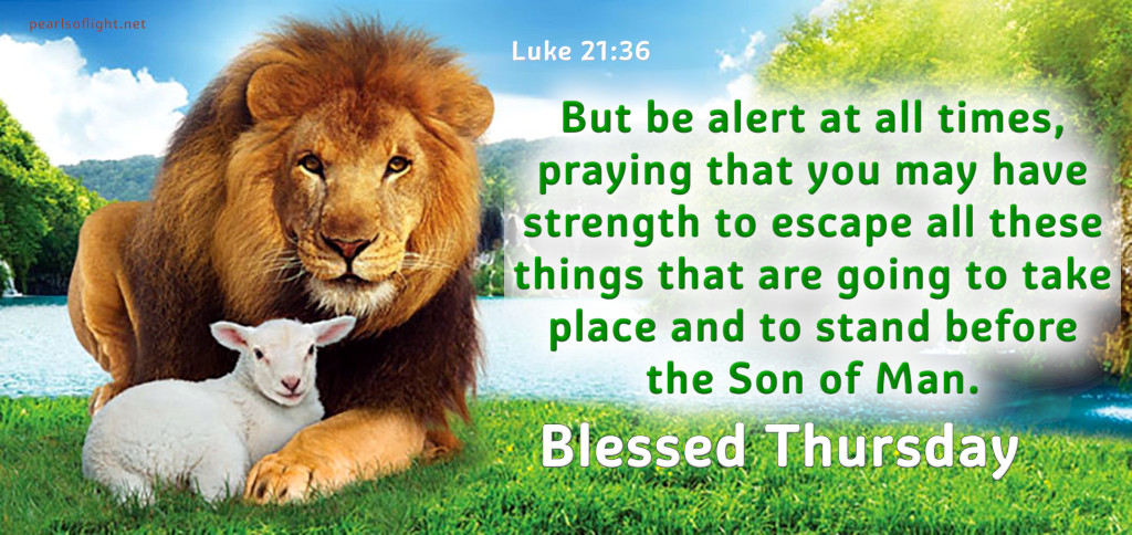 But be alert at all times, praying …
