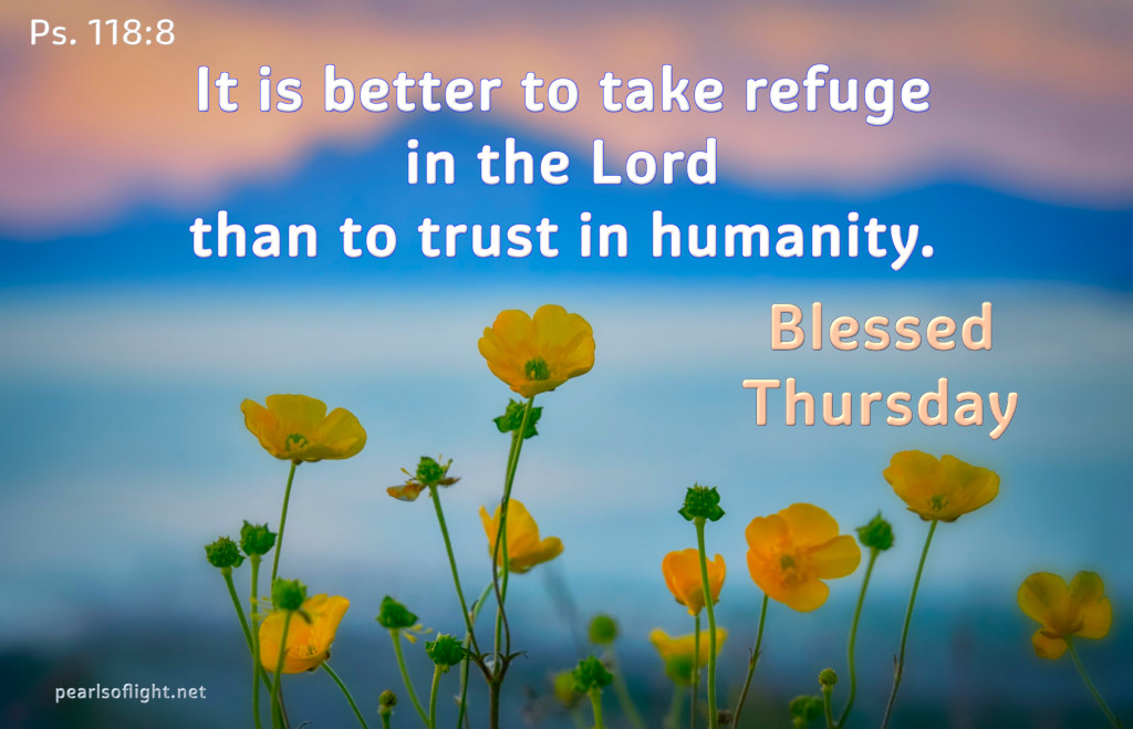 It is better to take refugein the Lord than to trust in humanity.