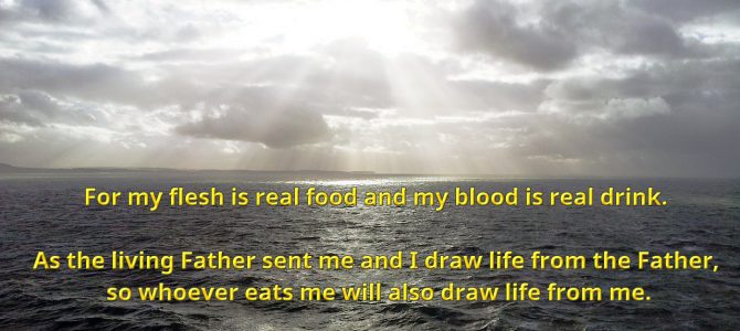 If you do not eat the flesh of the Son of man and drink his blood, you have no life in you