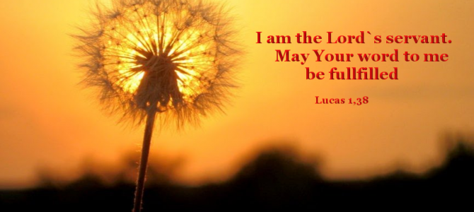 I am the Lord`s servant