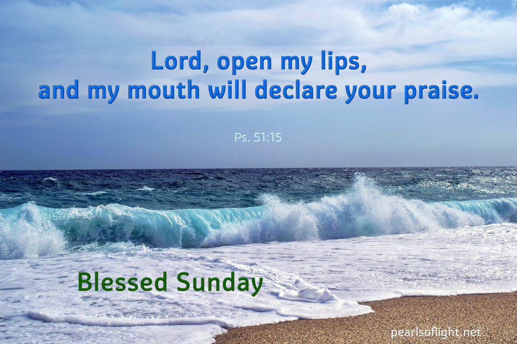 Lord, open my lips, and my mouth will declare your praise.
