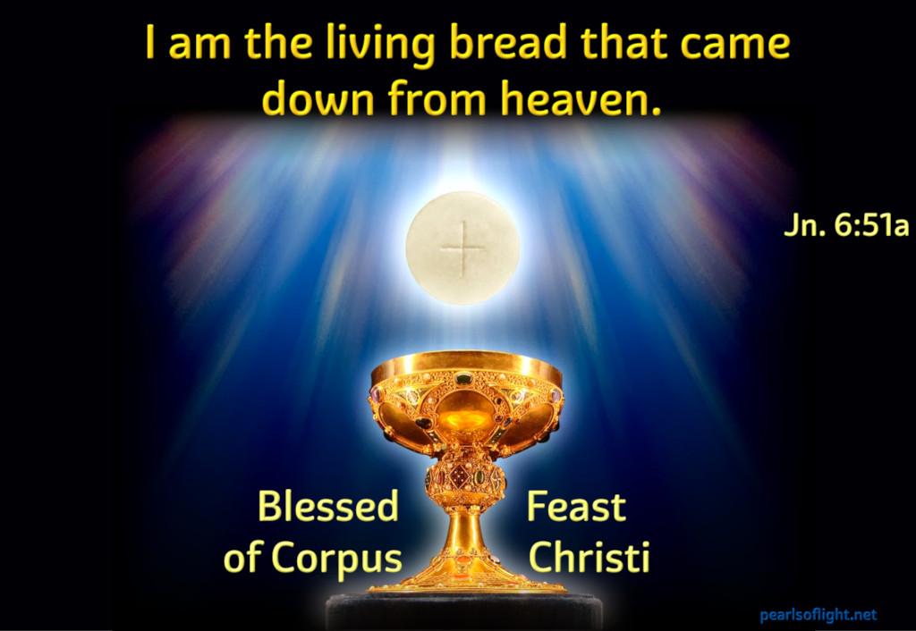 I am the living bread that came down from heaven.