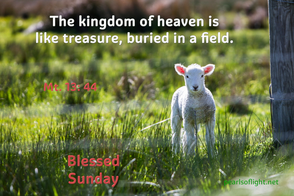 The kingdom of heaven is like treasure, buried in a field
