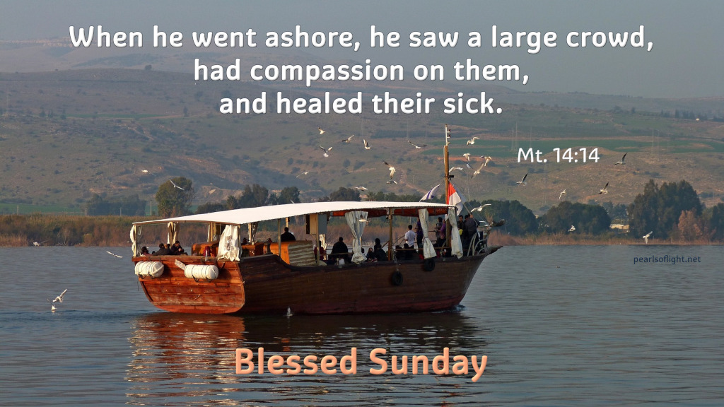 When he went ashore, he saw a large crowd, had compassion on them